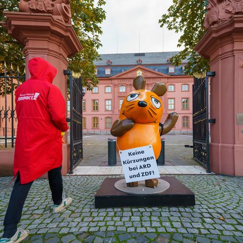 Maus in Mainz