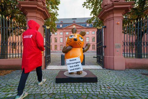 Maus in Mainz
