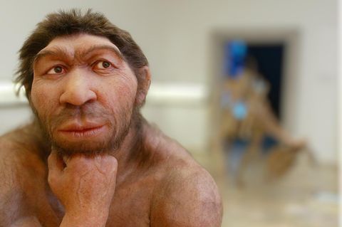 Neandertaler Kohlenhydrate