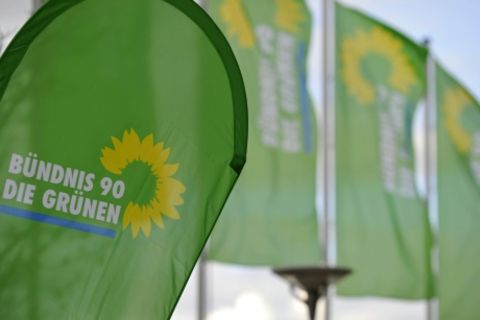 Fahnen der Grünen