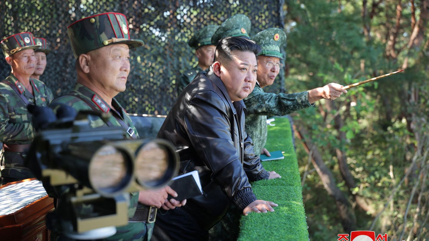 Geheimdienst alarmiert: Kämpfen bald Nordkoreaner in der Ukraine?