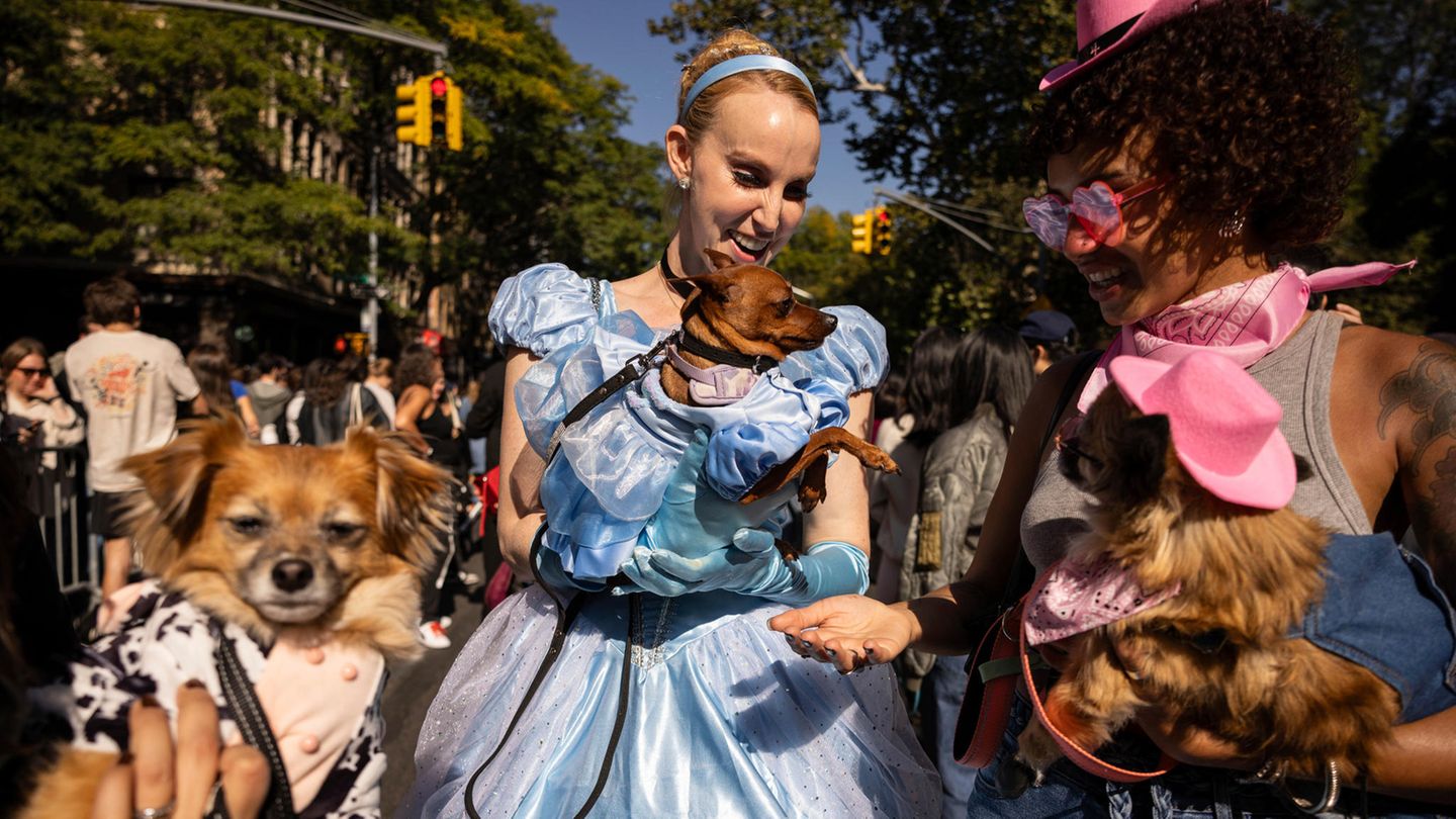 Zur 34. Halloween-Hundeparade hat Cinderella ihren Liebling mitgebracht