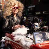 Ob dieser fellige Freund wirklich schon einen Führerschein hat? Nun ja, das Frauchen kann zur Not ins Lenkrad greifen