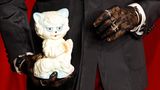 Katze in Hand mit Handschuhen