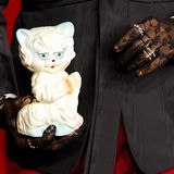 Katze in Hand mit Handschuhen