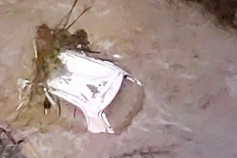 Italien: Ein Toter nach heftigen Überschwemmungen