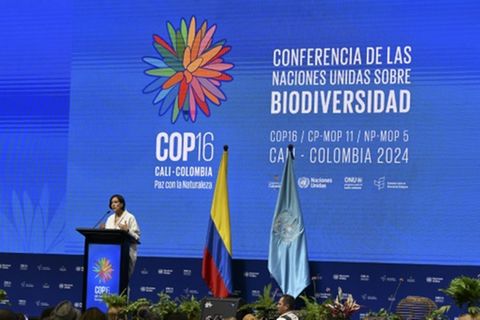 Kolumbiens Umweltministerin Susana Muhamad