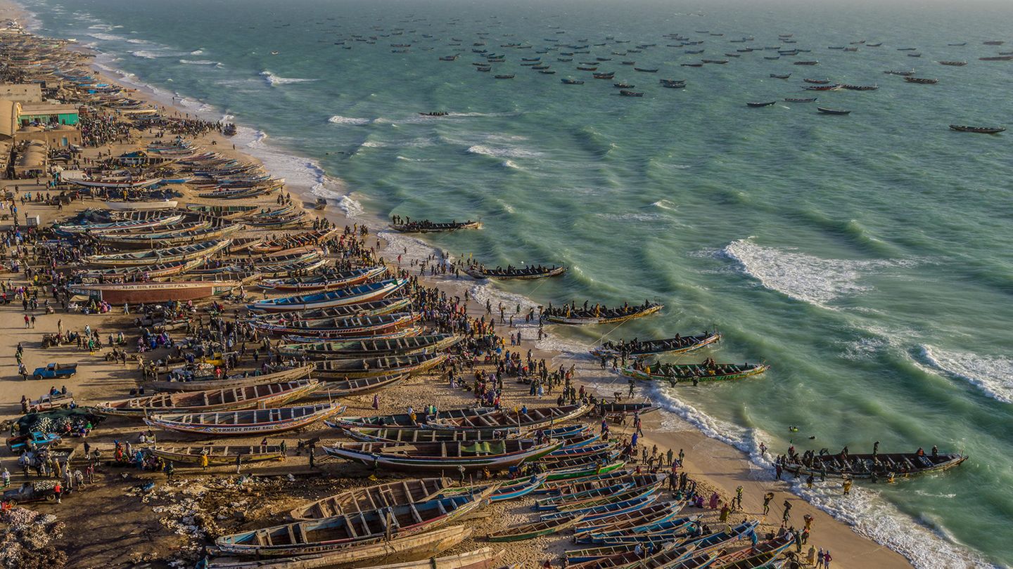 Hunderte von Pirogen säumen den Strand der mauretanischen Hauptstadt Nouakchott. Offiziell holen Fischer mit ihnen jährlichen rund 900.000 Tonnen Fisch aus dem Meer. Tatsächlich dürften es durch illegale oder nicht gemeldete Fänge mehr als das Doppelte sein. Steigende Meerestemperaturen in Folge des Klimawandels lassen die Fischbestände nach Norden und weiter vor die Küste wandern