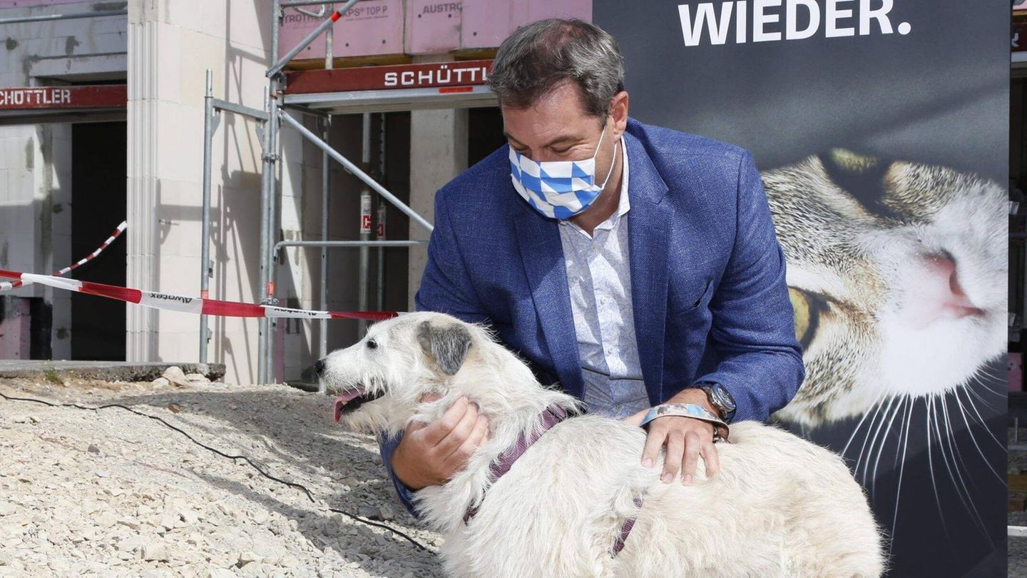 The Green Party bans dogs? Here the CSU is crossing a line