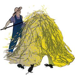 Illustration Diagnose Hasenpest