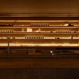 Best Bars: Zest, Seoul