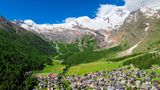 Wallis