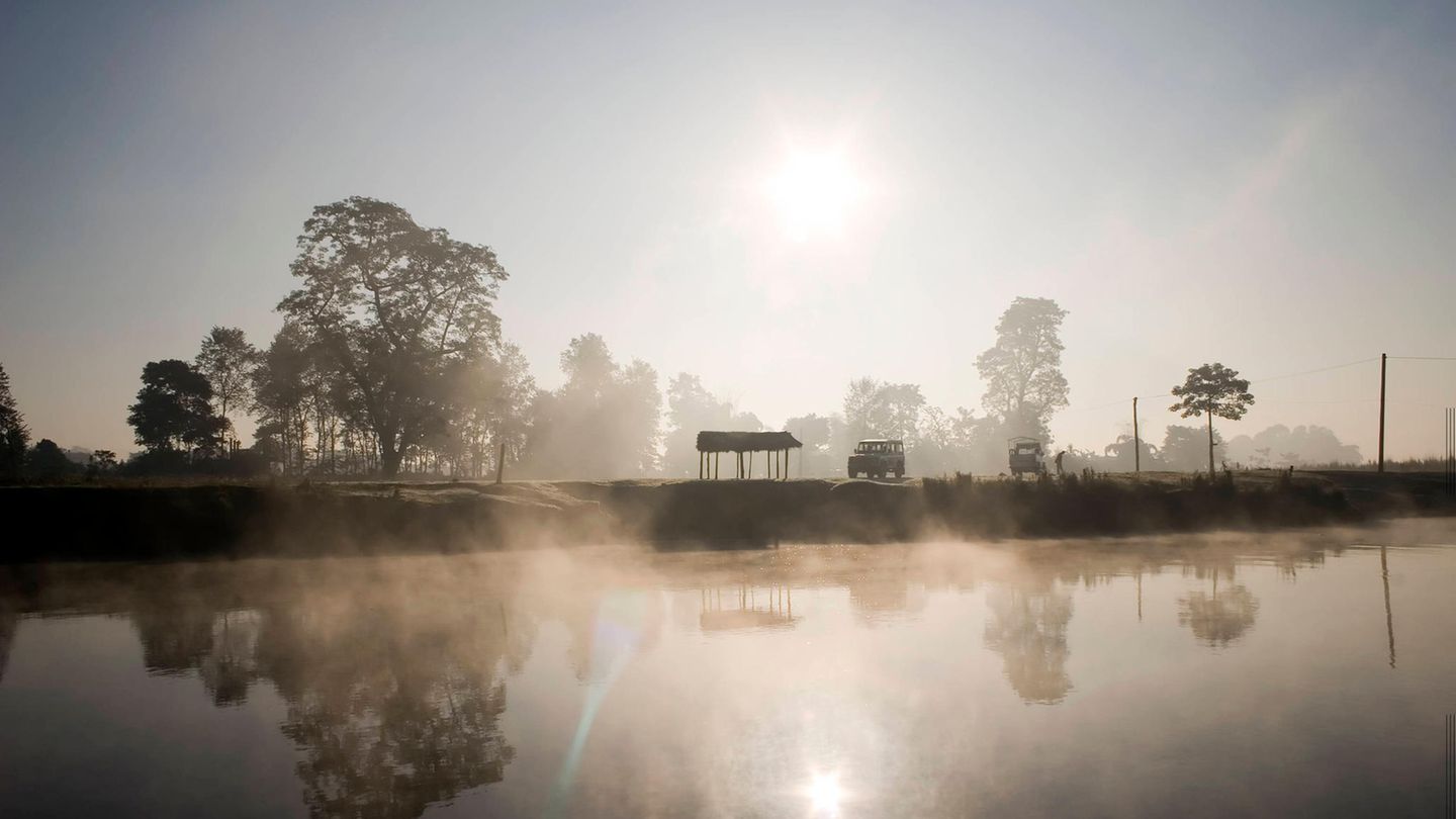 Terai