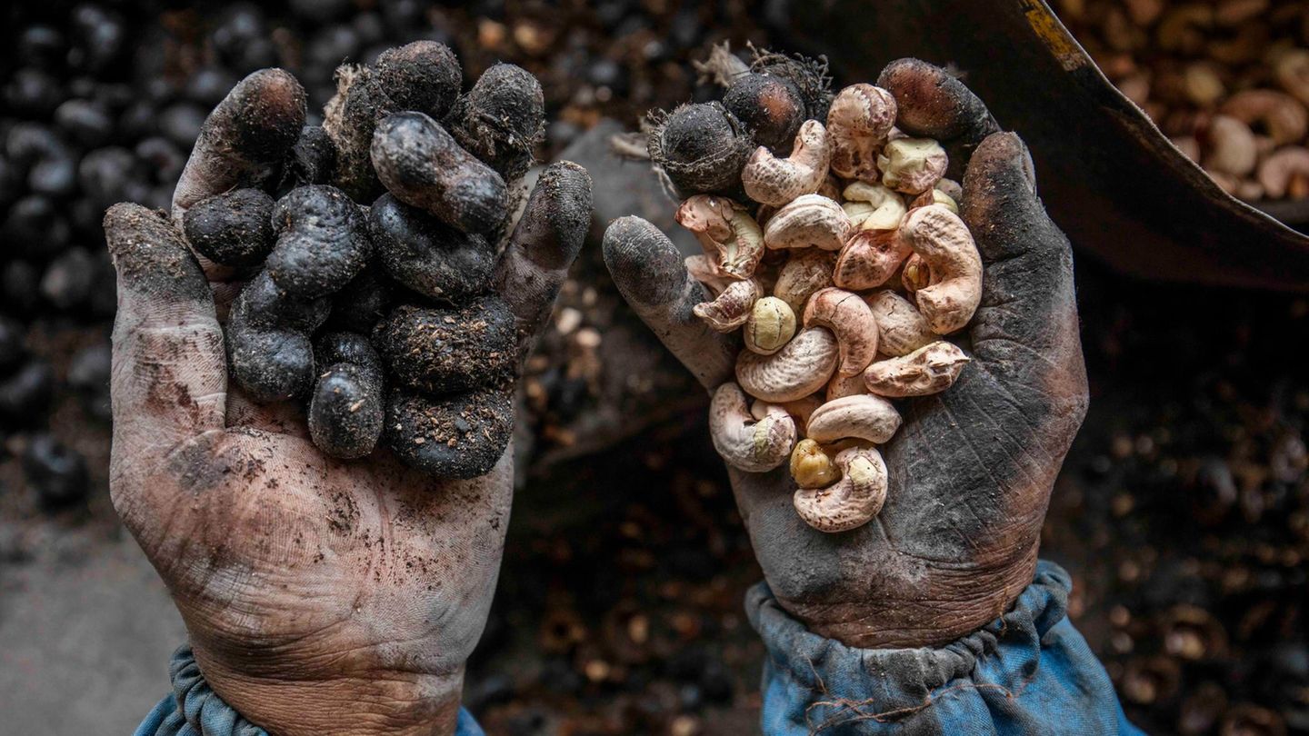 Ernährung Cashewnüsse Ernährung Cashewnüsse