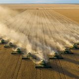 Auf der 254 Quadratkilometer umfassenden Fazenda Piratini im brasilianischen Bundesstaat Bahia erntet eine Phalanx von Mähdreschern die reifen Sojabohnen. Die Sojaproduktion hat sich in Brasilien seit 1985 verneunfacht, denn die wachsende Weltbevölkerung verlangt nach nährstoffreichen Ölsaaten