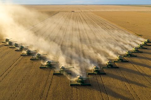 Auf der 254 Quadratkilometer umfassenden Fazenda Piratini im brasilianischen Bundesstaat Bahia erntet eine Phalanx von Mähdreschern die reifen Sojabohnen. Die Sojaproduktion hat sich in Brasilien seit 1985 verneunfacht, denn die wachsende Weltbevölkerung verlangt nach nährstoffreichen Ölsaaten