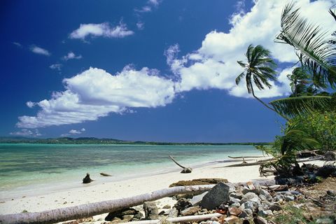 Reiseziel Trinidad & Tobago