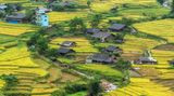 Laos