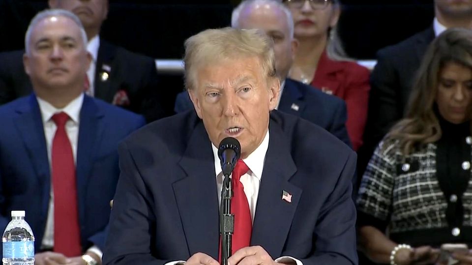 Trump fantasiert über Deutschlands Energiewende