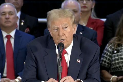 Trump fantasiert über Deutschlands Energiewende