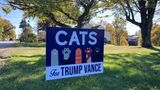 "Cats for Trump/Vance"-Wahlkampfschild