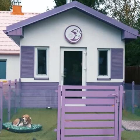 Radoslaw Fedaczysnki entwarf ein besonderes Konzept: In diesem Dorf leben Streuner bis zu ihrer Adoption. Anstatt Gitter und Stress gibt es Physiotherapie und spielende Betreuung.