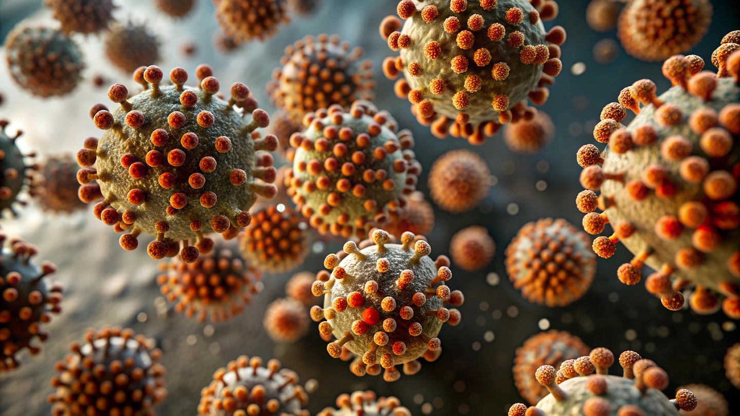 Mpox virus: First German patient was infected in Rwanda