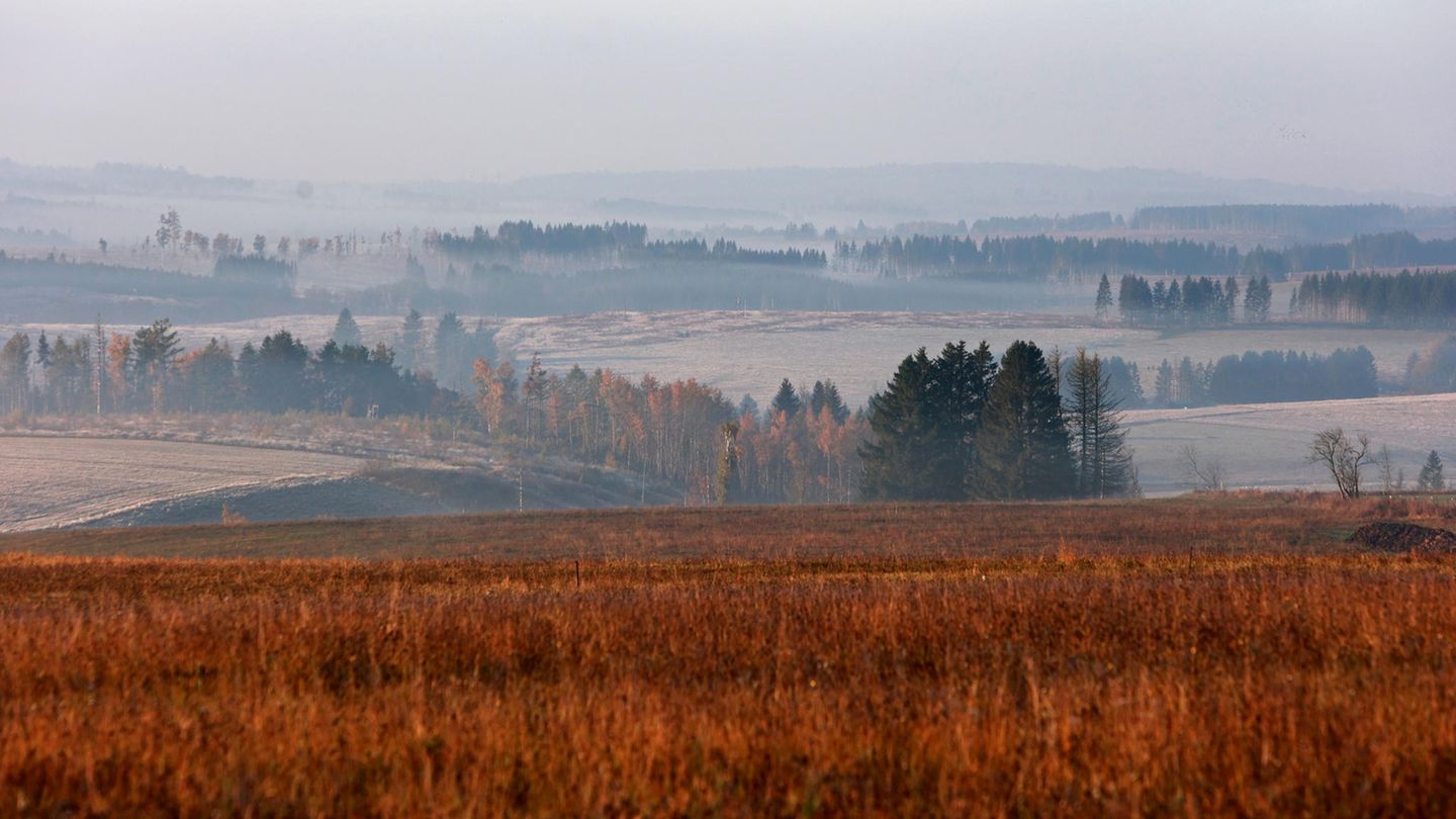 Nebel zieht bei Elbingerode am frühen Morgen im Licht der aufgehenden Sonne über das Land
