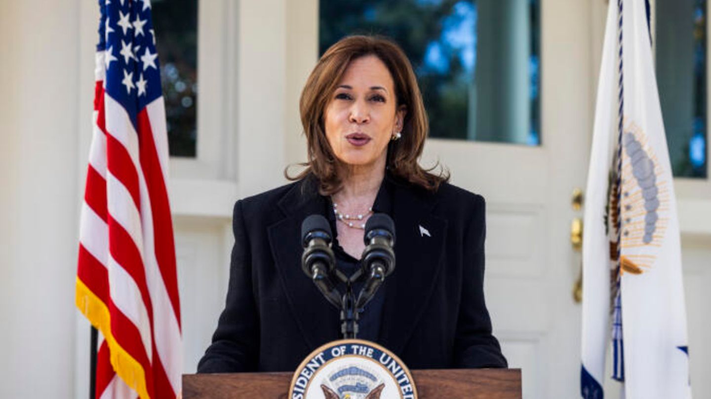 Kamala Harris These are her campaign promises for the 2024 US election