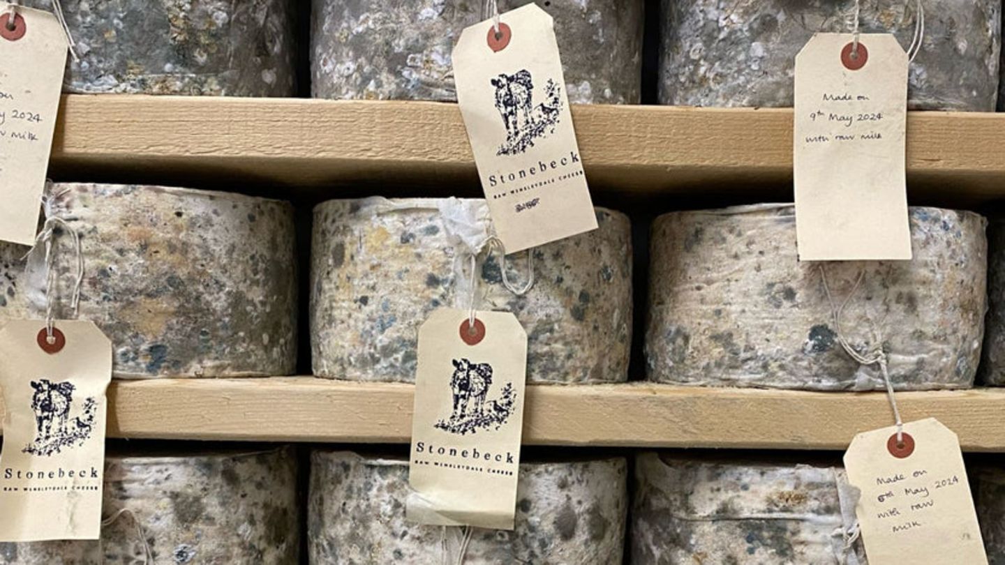 Cheddar cheese worth 360,000 euros delivered to fraudsters
