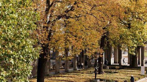 Die Höchsttemperaturen liegen zwischen 14 und 17 Grad. Foto: Carsten Koall/dpa