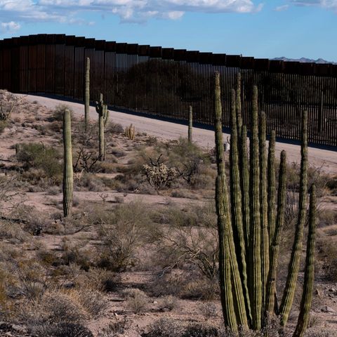 "Migration" ist das Thema im US-Wahlkampf – daran könnte sich alles entscheiden