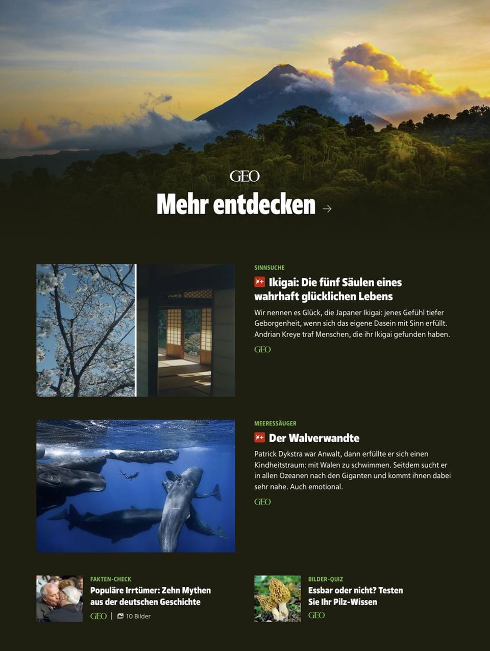 In eigener Sache: stern.de und die stern App – jetzt ganz neu