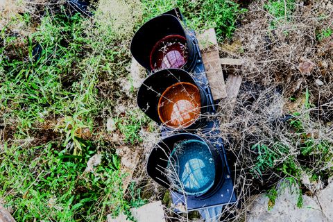 Eine defekte Ampel liegt im hohen Gras. Sinnbild für die Ampel-Koalition