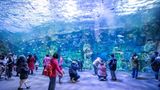 Chime-Long Ocean Kingdom, Zhuhai