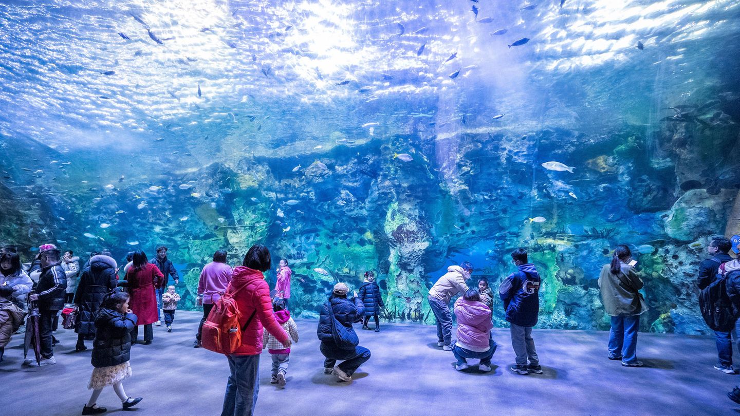 #6 Chime-Long Ocean Kingdom, Zhuhai Chime-Long Ocean Kingdom, Zhuhai