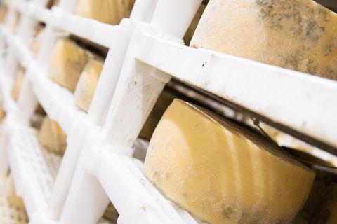 Cheddar-Raub von London: Diebe klauen Käse im Wert von 360.000 Euro (Video)
