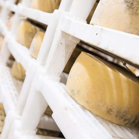 Cheddar-Raub von London: Diebe klauen Käse im Wert von 360.000 Euro (Video)