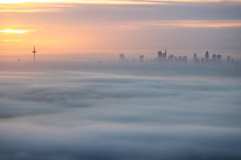 Die Skyline von Frankfurt/Main bei morgendlichem Nebel
