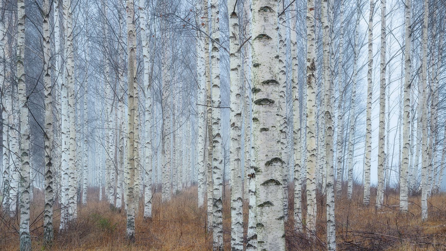 Närke, Schweden