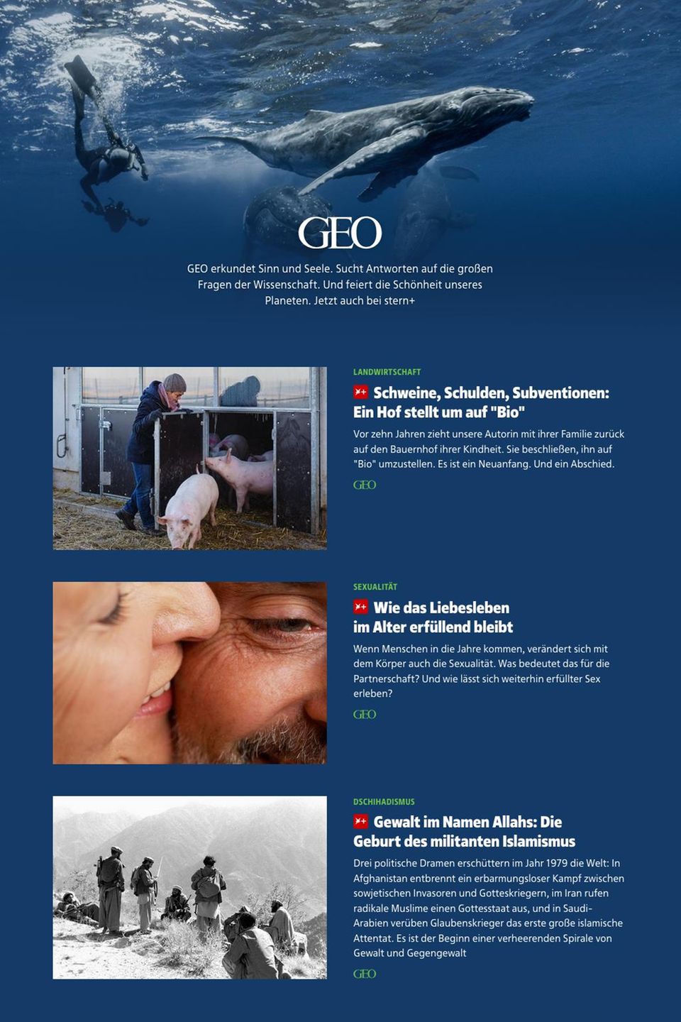 In eigener Sache: Der neue stern – jetzt auch mit GEO und Capital In eigener Sache: Der neue stern – jetzt auch mit GEO und Capital