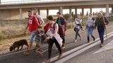 Andere bringen Hab und Gut und vor allem ihre Familie in Sicherheit