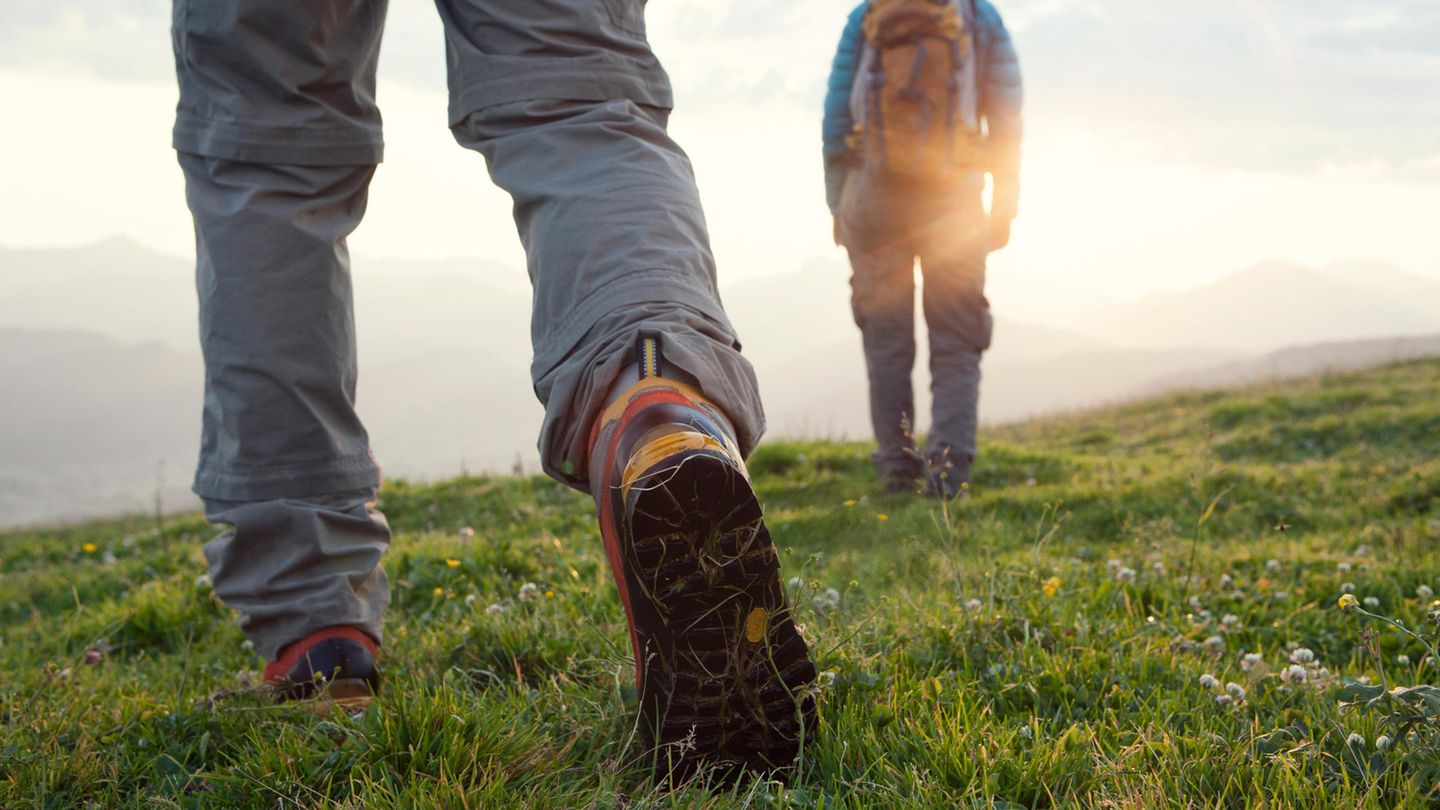 Buy Jack Wolfskin trekking shoes now at the best price