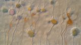 Blumen am Grunde des Sees
