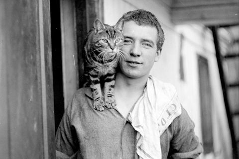 Die Katze Mrs. Chippy auf der Schulter eines Matrosen auf der "Endurance"