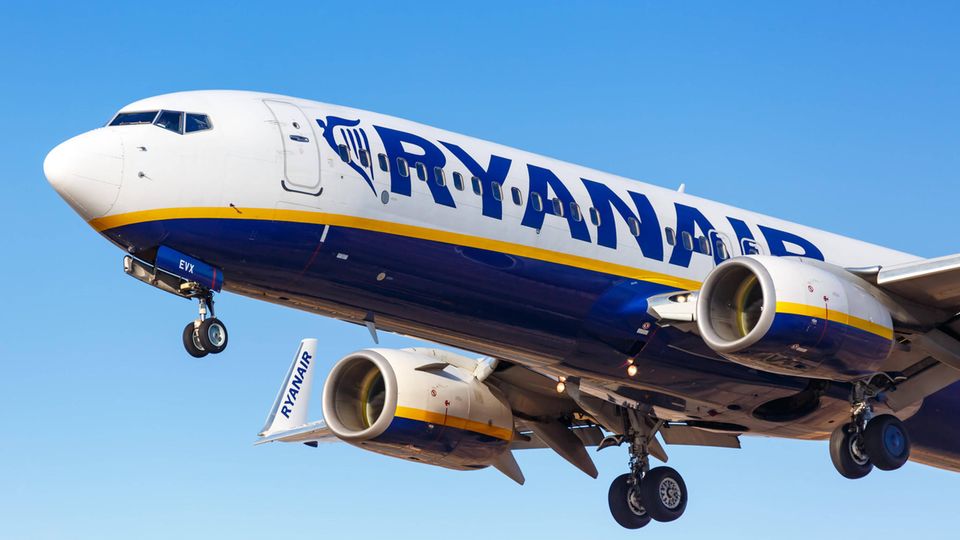 Ein Alsdorfer Unternehmen forscht gerade an einer CO2-sparenden Lösung für den Flugverkehr. Mit der gerillten Haifischhaut als Vorbild soll so kündtig Sprit gespart werden.