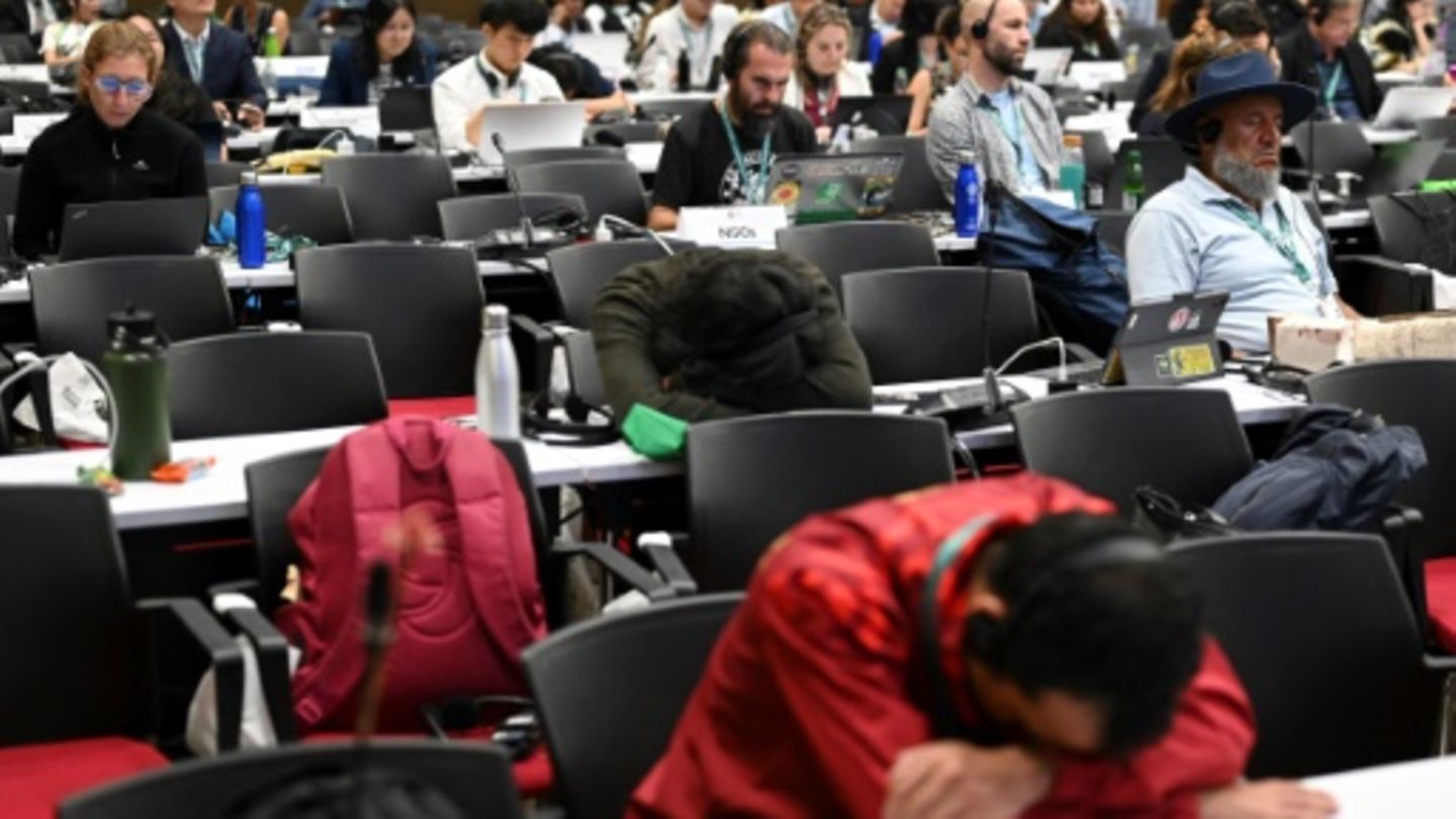 Delegierte bei der letzten Sitzung der COP16