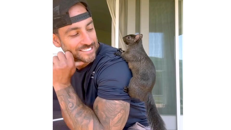 Eichhörnchen Peanut mit seinem Besitzer Mark Longo