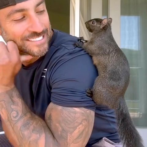 Eichhörnchen Peanut mit seinem Besitzer Mark Longo