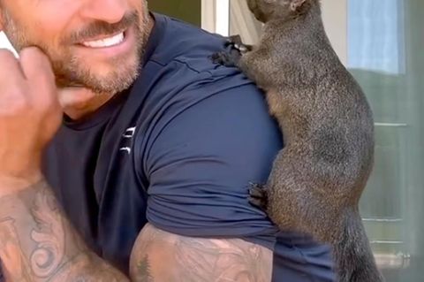 Eichhörnchen Peanut mit seinem Besitzer Mark Longo